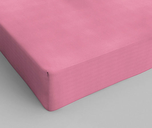 Cotton fitted sheet Rose